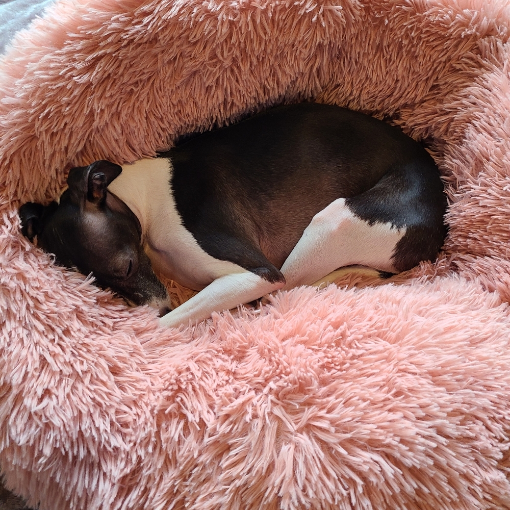 Meet your Posher, Elaina